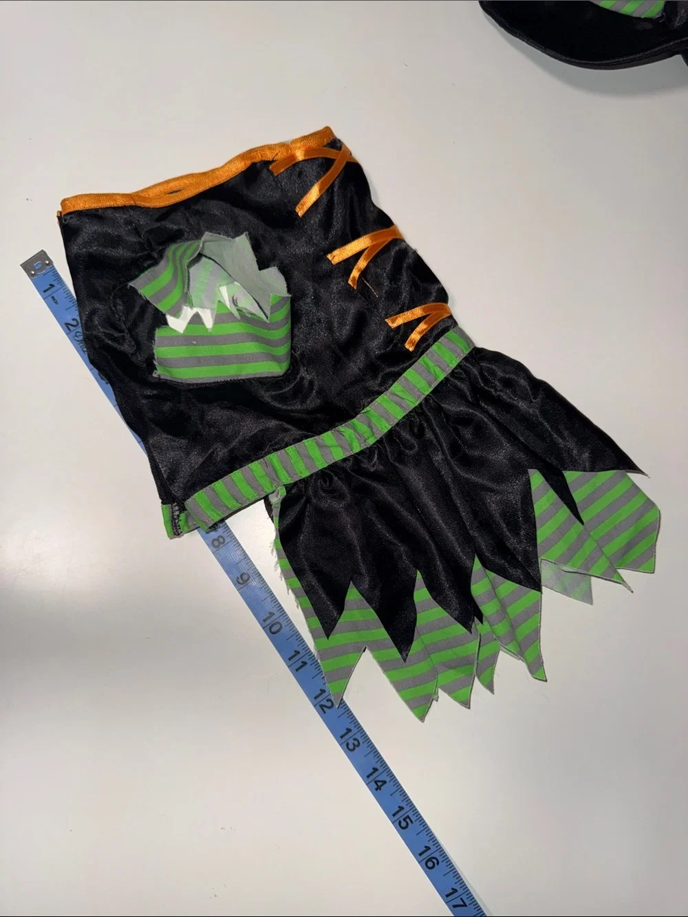 Black & Green Striped Witch Dress and Hat Costume for Dogs